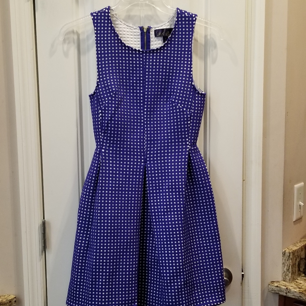Blue Pair Blue and White Skater Dress Sz S